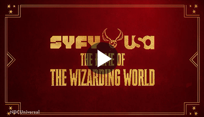 Wizarding World – 2